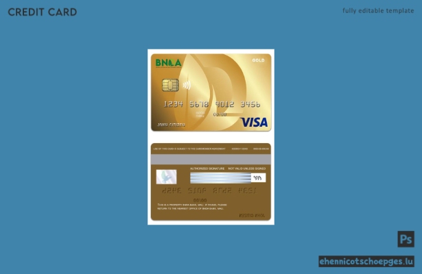 Mustervorschau der Mali BNDA Bank Visa Gold Card